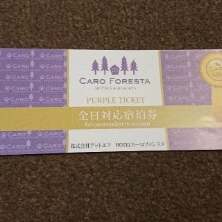 カーロフォレスタ全日宿泊券 パープルチケット caroforesta  １枚 B(宿泊券)