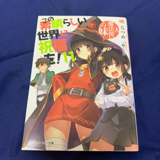 この素晴らしい世界に祝福を！ １１(文学/小説)