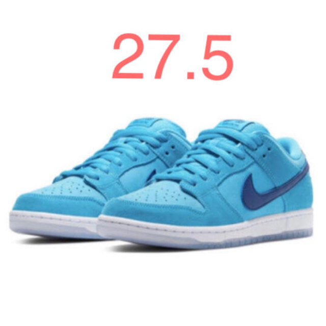 NIKE SB DUNK LOW PRO BLUE FURY 27.5cm