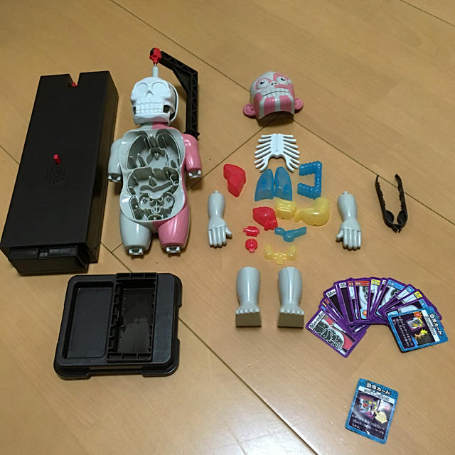 MegaHouse(メガハウス)の人体模型 エンタメ/ホビーのおもちゃ/ぬいぐるみ(模型/プラモデル)の商品写真