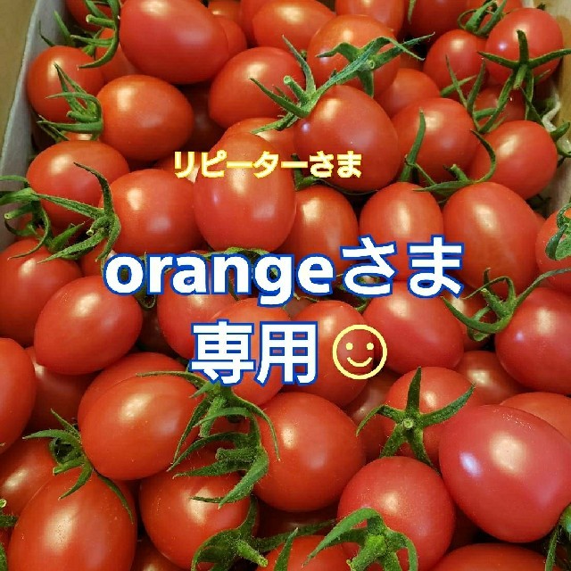２㎏ orangeさま専用です☺️ ミニトマト 食品/飲料/酒の食品(野菜)の商品写真