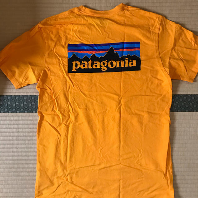 パタゴニアTシャツ　セット