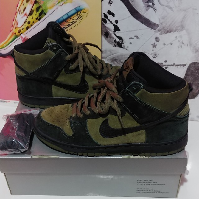 靴/シューズNIKE DUNK HIGH PRO SB TODD JORDAN トッド