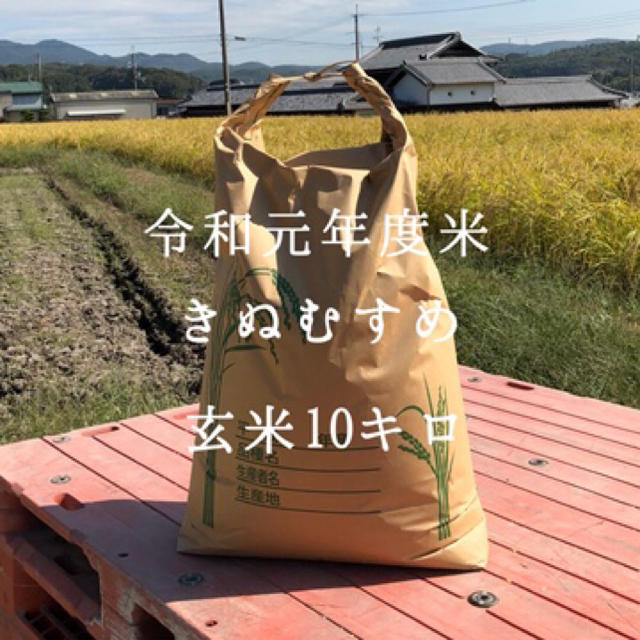 令和元年度米　きぬむすめ　玄米10キロ 食品/飲料/酒の食品(米/穀物)の商品写真