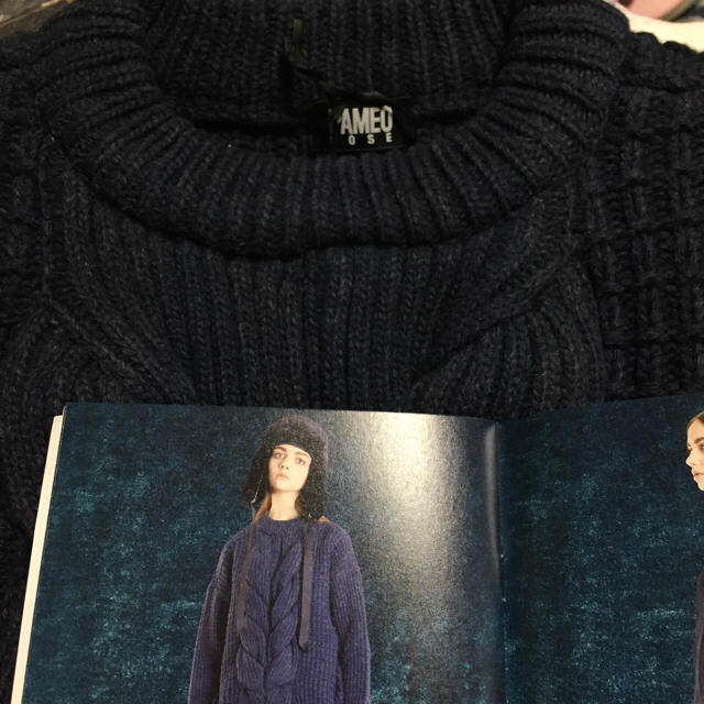 PAMEO POSE(パメオポーズ)のパメオポーズ Zopf Knit   レディースのトップス(ニット/セーター)の商品写真