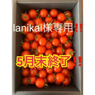 白米と同梱　1kg ☆キャロルセブン☆(野菜)