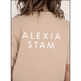 アリシアスタン(ALEXIA STAM)のアリシアスタン　Tシャツ(Tシャツ(半袖/袖なし))