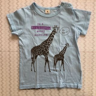 キムラタン(キムラタン)のLa  Chiave  半袖(Tシャツ/カットソー)