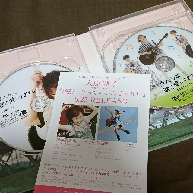 佐藤健:カノジョは嘘を愛しすぎてる☆DVD