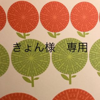 きょん様　専用(外出用品)