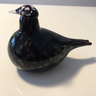 イッタラ(iittala)のイッタラ　バード　ティリ(置物)