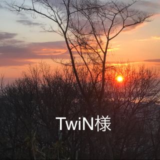 TwiN様専用(美容液)