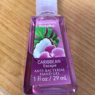 バスアンドボディーワークス(Bath & Body Works)のBath & BodyWorks アルコールハンドジェル(アルコールグッズ)