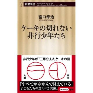 ケーキの切れない非行少年たち (新潮新書) (日本語) 新書(ノンフィクション/教養)