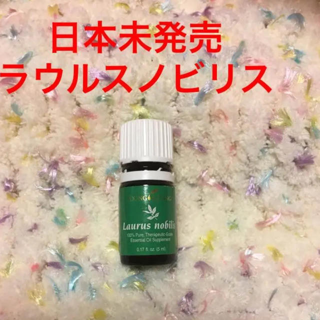 ✤日本未発売✤  ヤングリヴィング  ラウルスノビリス 5ml