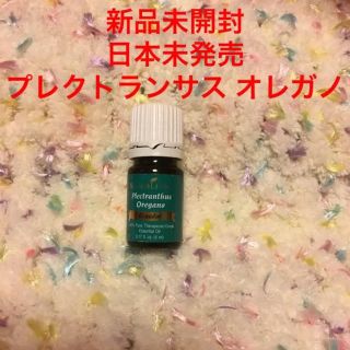 【新品・未開封】✤日本未発売✤  プレクトランサス オレガノ  5ml(エッセンシャルオイル（精油）)