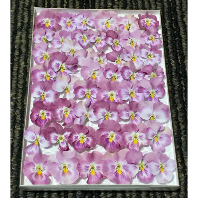 お花屋さんが作った桜ピンクのビオラのドライフラワーお詰め合わせ ハンドメイドのフラワー/ガーデン(ドライフラワー)の商品写真