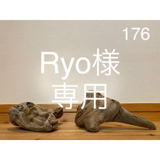 流木【176.139】(置物)