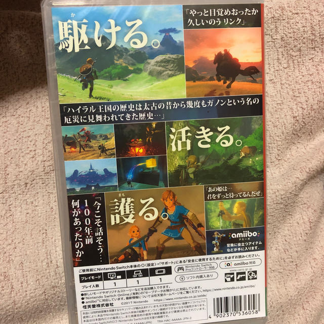 任天堂(ニンテンドウ)のゼルダの伝説 ブレス オブ ザ ワイルド Switch エンタメ/ホビーのゲームソフト/ゲーム機本体(家庭用ゲームソフト)の商品写真