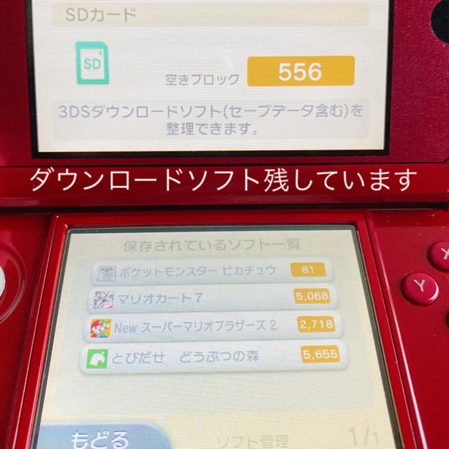 Nintendo 3DS 本体 フレアレッド　とび森付き 3
