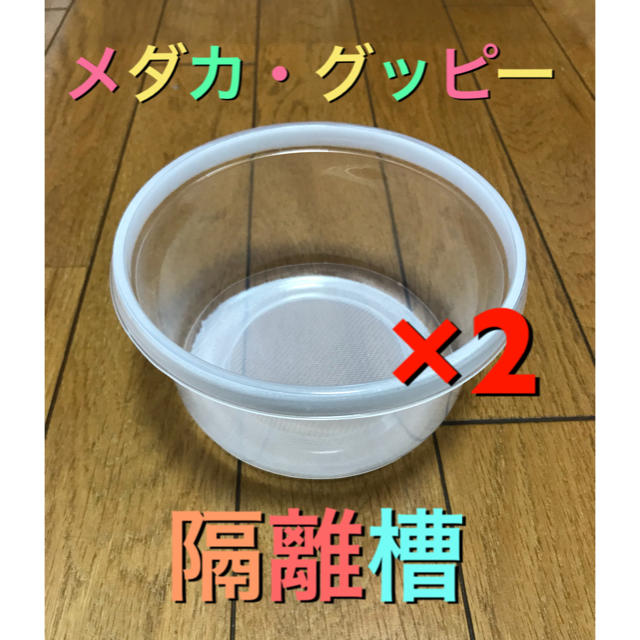メダカ 隔離槽 大 丸型タイプ グッピー シュリンプの隔離にも最適です の通販 By 墨きち S Shop ラクマ メダカ 隔離槽 大 丸型タイプ グッピー シュリンプの隔離にも最適です の通販 By 墨きち S Shop ラクマ