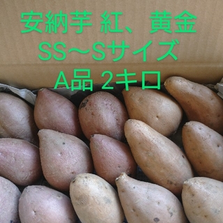 安納芋紅、黄金SS～Sサイズ 2キロ(野菜)