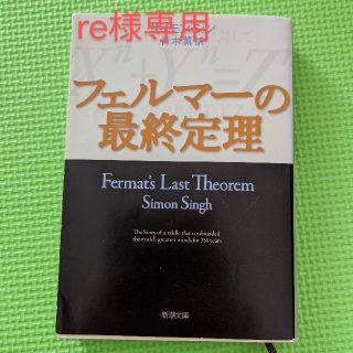 フェルマーの最終定理(文学/小説)