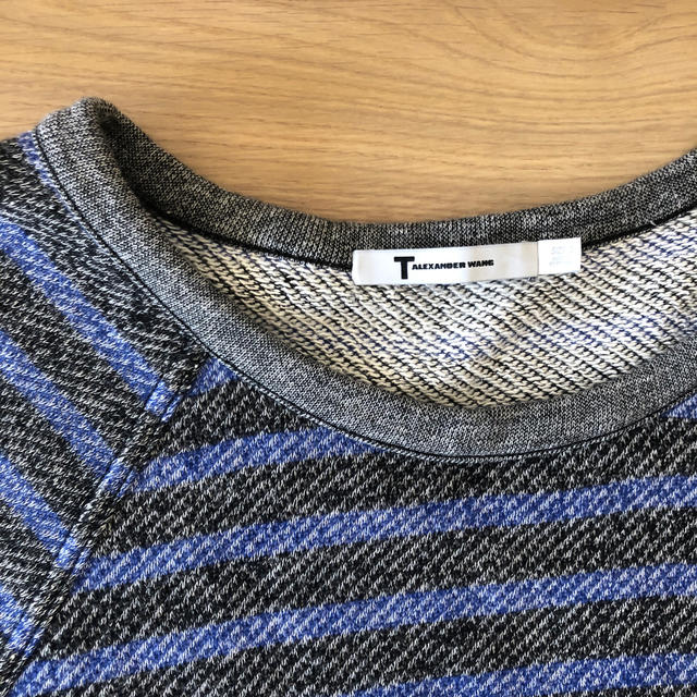 Alexander Wang(アレキサンダーワン)のALEXANDER WANG  ボーダーカットソー レディースのトップス(カットソー(長袖/七分))の商品写真