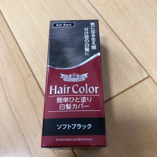 ドクターシーラボ(Dr.Ci Labo)のドクターシーラボ 簡単ひと塗り白髪カバー ソフトブラック(10mL)(白髪染め)