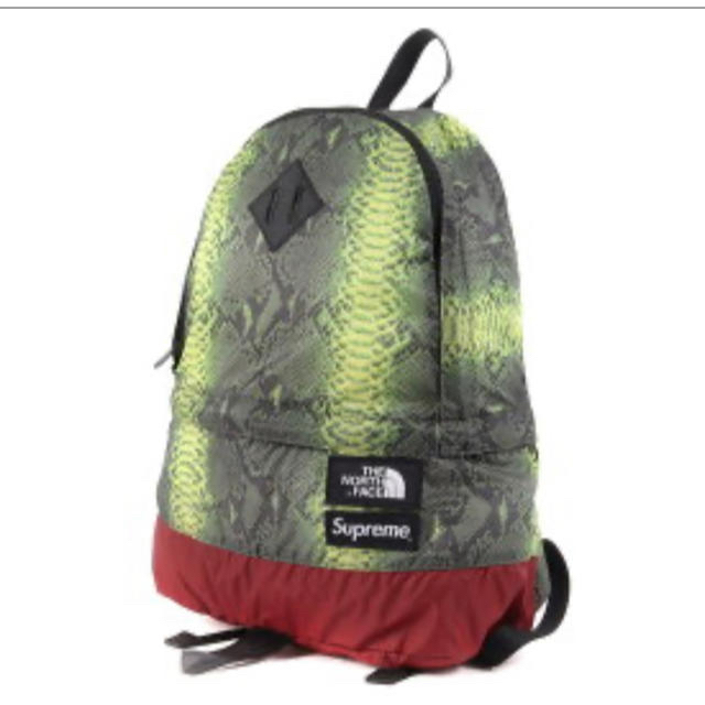 SUPREME×THE NORTH FACE Snake Day Pack 激安 aulicum.com-日本全国へ ...