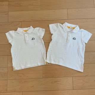 サマンサモスモス(SM2)のsm2 双子コーデ　新品　ポロシャツ(Tシャツ/カットソー)