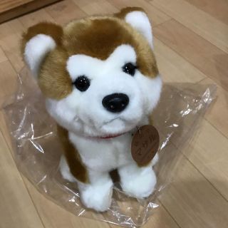 秋田犬　マサルくん　ぬいぐるみ(ぬいぐるみ)