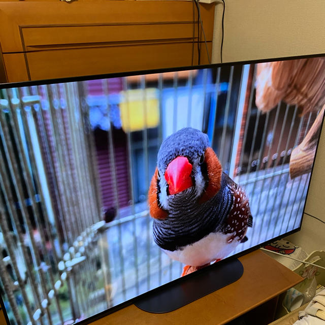 新品 ソニー  55型 有機ELテレビ KJ-55A9G ブラビアロト対象