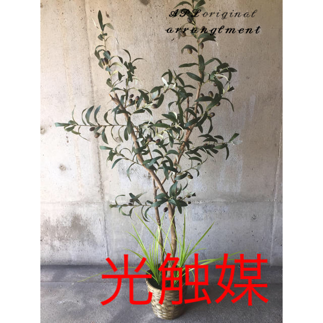 光触媒 人工観葉植物 抗菌消臭 ウォールグリーン オリーブの木12370苔♯園芸