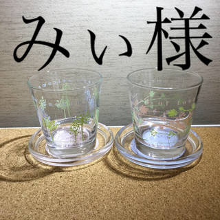 アフタヌーンティー(AfternoonTea)の【さらに値下げ!】美品 Afternoon Tea グラスセット(グラス/カップ)