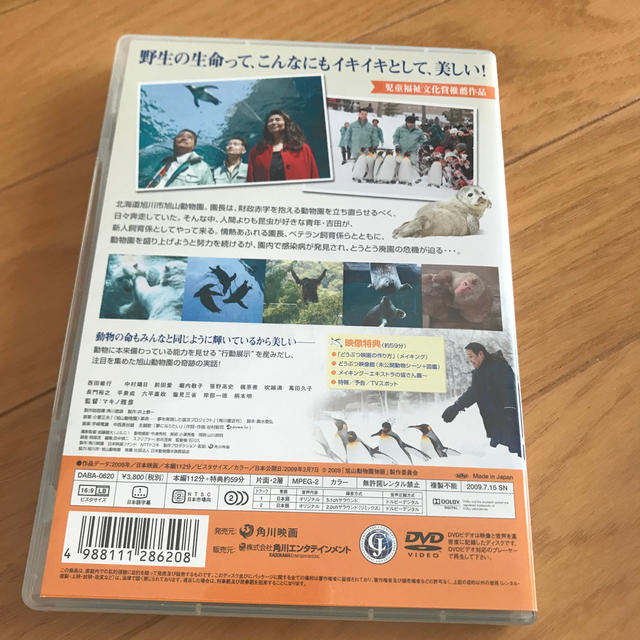 旭山動物園物語 DVD エンタメ/ホビーのDVD/ブルーレイ(日本映画)の商品写真
