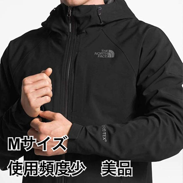 THE NORTH FACE APEX FLEX GORE-TEX Mサイズ