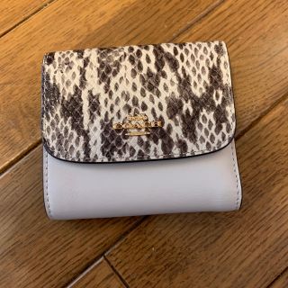 コーチ(COACH)の★最終価格★ コーチ　財布　パイソン(財布)