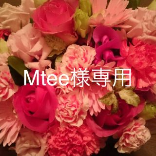 Mtee様専用(健康/医学)