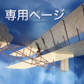 ハウスショクヒン(ハウス食品)のさかなくん様専用(その他)