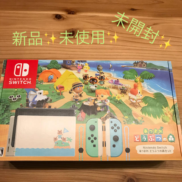 Nintendo Switch - ニンテンドー  スイッチ あつまれ どうぶつの森セット    あつ森  どう森