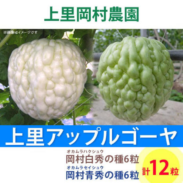 0712 【HS6SS6】上里岡村農園寅さんのアップルゴーヤのタネ2種類セット 食品/飲料/酒の食品(野菜)の商品写真