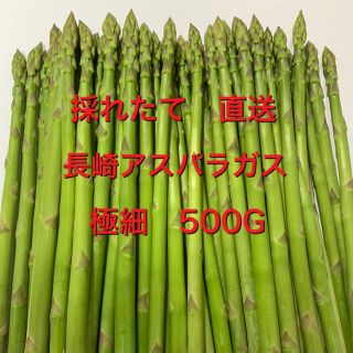 長崎産アスパラガス　極細　500G(野菜)