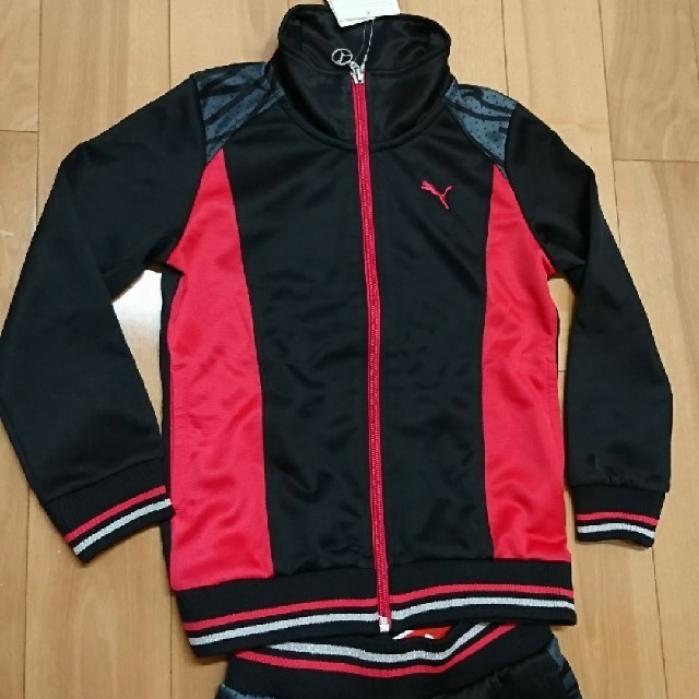 PUMA(プーマ)の新品 プーマ ジャージ 上下 キッズ/ベビー/マタニティのキッズ服女の子用(90cm~)(その他)の商品写真