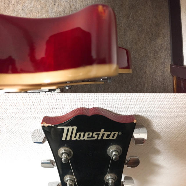 Maestro by Gibson Les Paul Standard