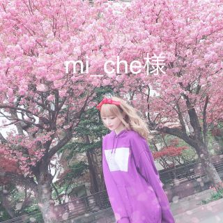 mi_che様専用(アイドルグッズ)