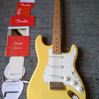 フェンダー(Fender)のFender Player Stratocaster  御茶ノ水　(エレキギター)