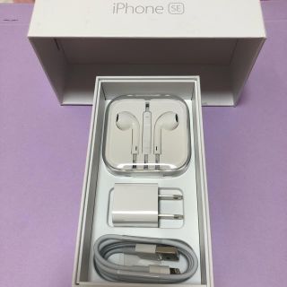 アイフォーン(iPhone)のiPhone 純正 イヤホン・充電器　正規品 (バッテリー/充電器)