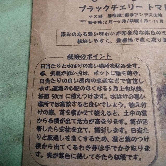 イタリア野菜の種 カラフルミニトマト3種類 10粒ずつ 食品/飲料/酒の食品(野菜)の商品写真