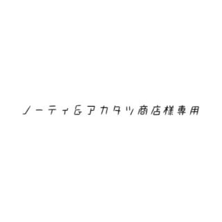 ニンテンドウ(任天堂)のノーティ＆アカタツ商店様専用(その他)